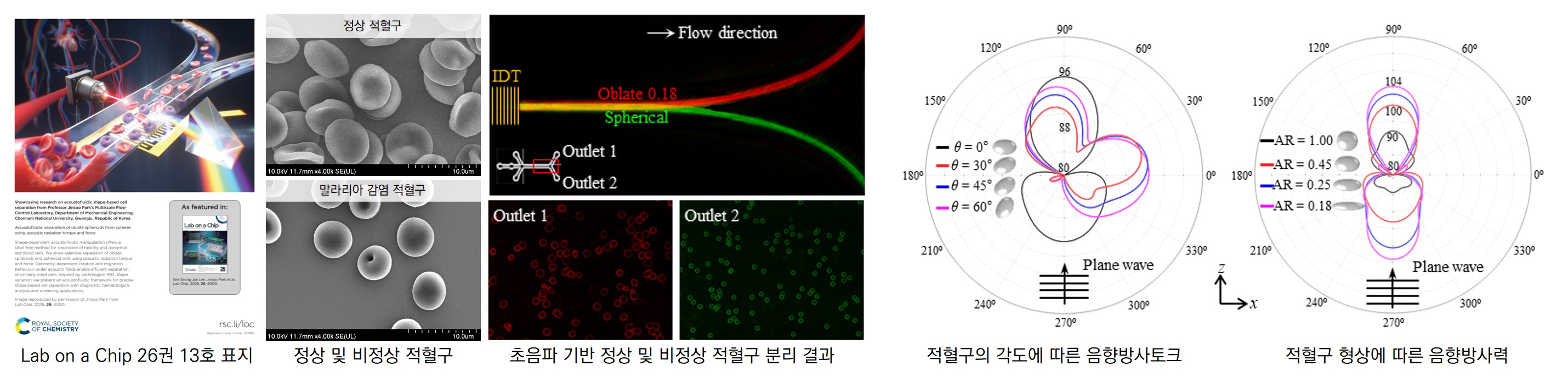 박진수 교수 연구팀, 초음파 기반 형상별 세포 분리 원천기술 개발 대표이미지
